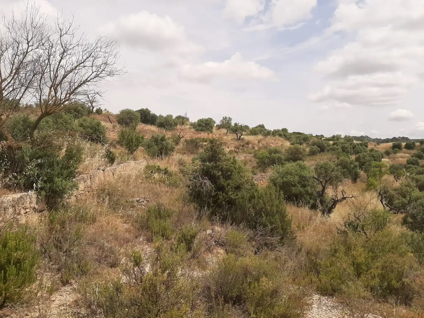 Casa adosada en venda en Cervià de Les Garrigues amb Jardí privat, Terrassa i Balcó