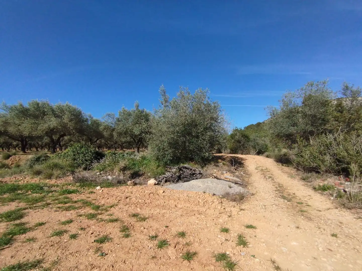Terreny residencial en venda a RENS, imagen 4