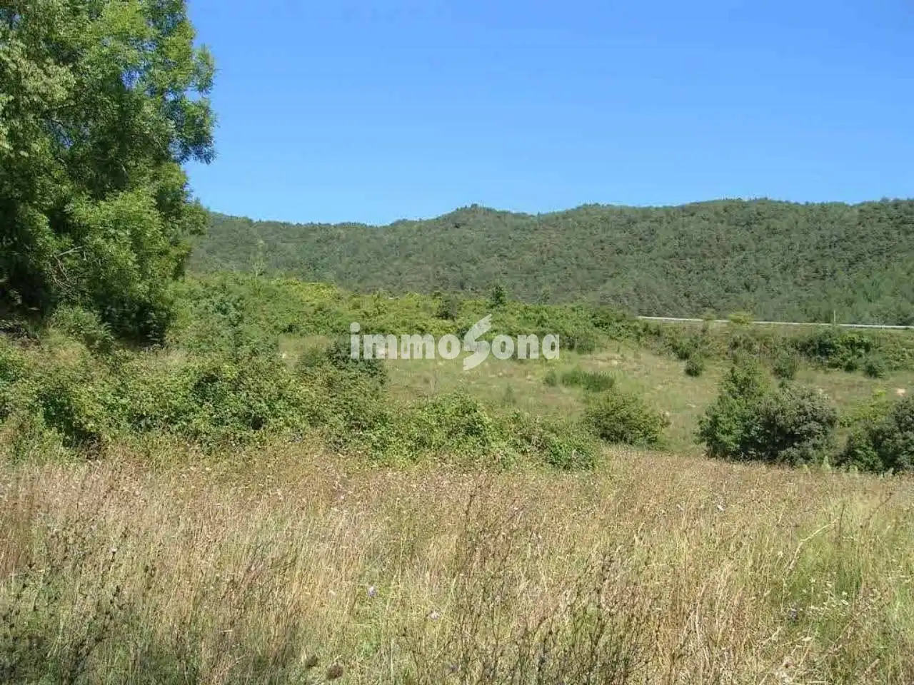 Terreny rústic en venda a La Vall de Bianya, imagen 8