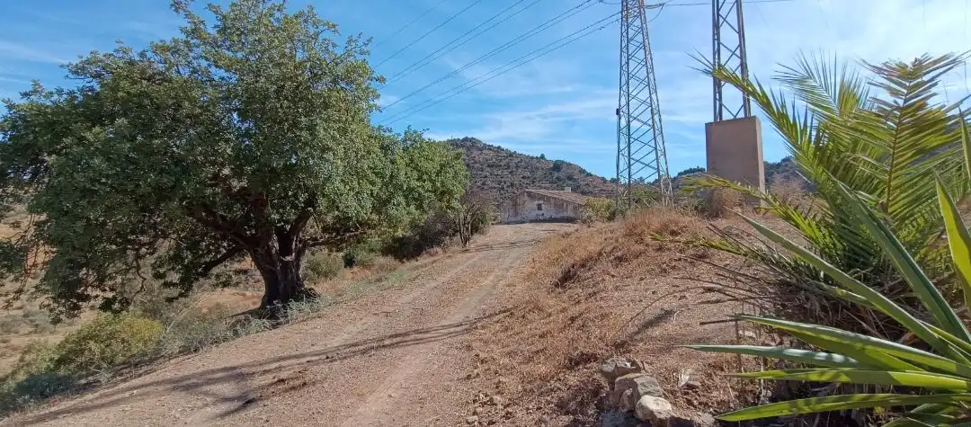 Terrain rustique à vendre à Camino de los almendrales, imagen 5