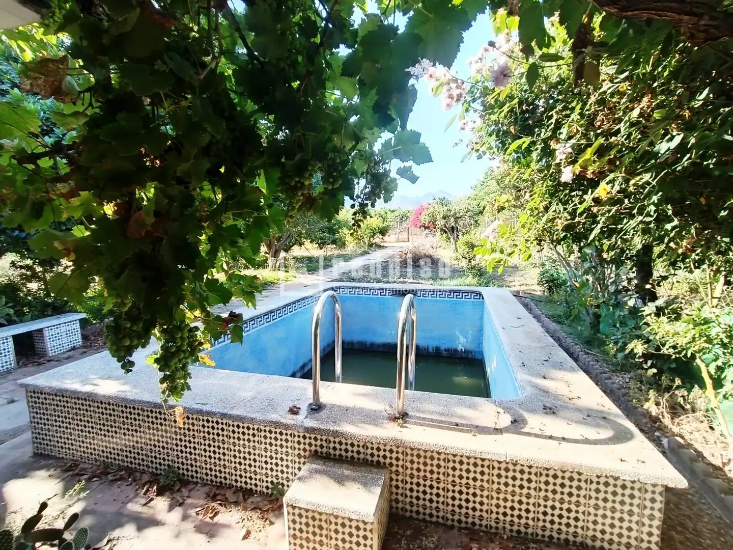 Piscina de Casa o chalet en venta en Nerja con Amueblado