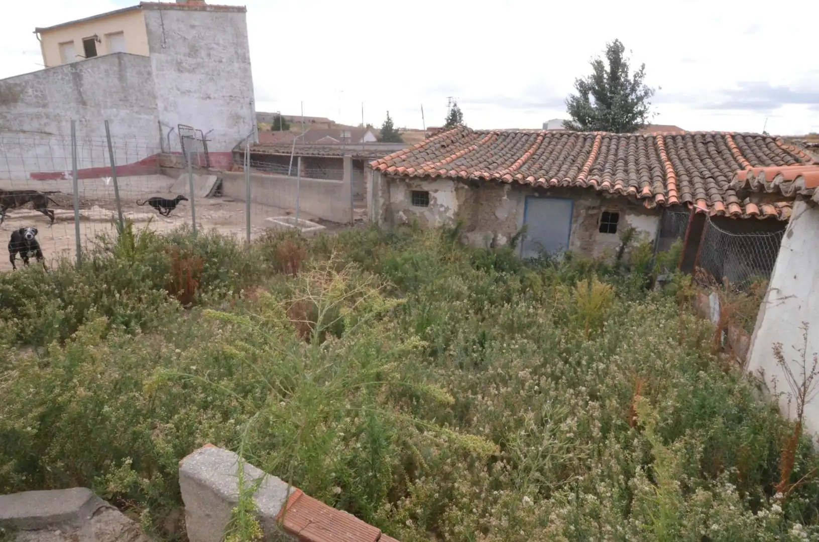 Casa o xalet en venda a Macotera