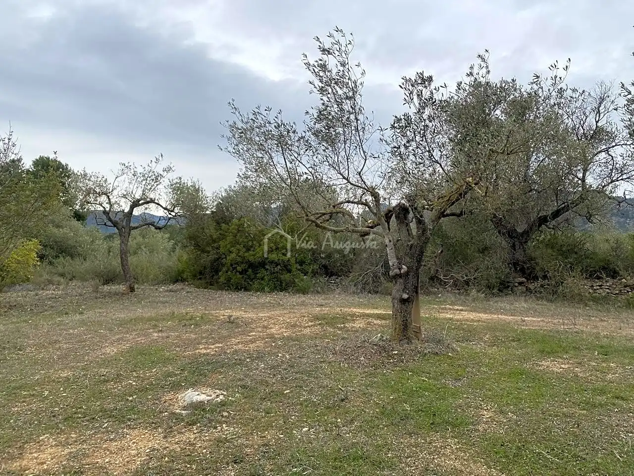 Terrain rustique à vendre à PLANELLES, imagen 29