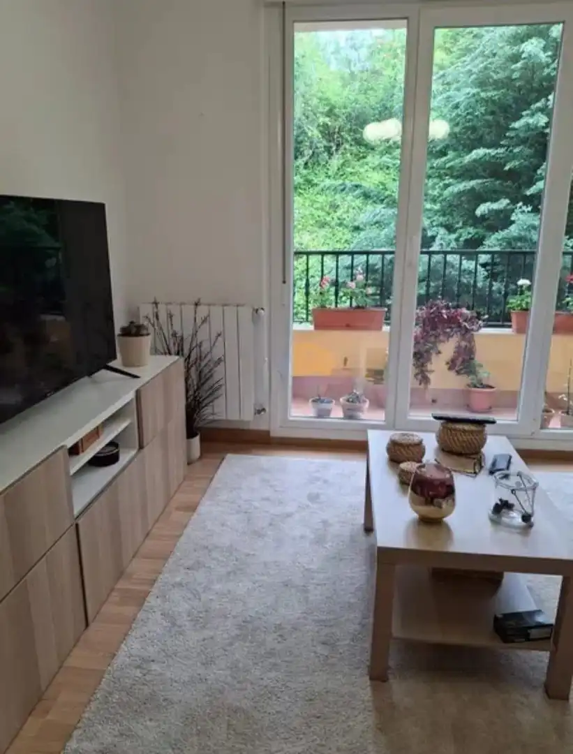 Living room of Flat for sale in Valle de Mena  with Heating, Terrace and Furnished