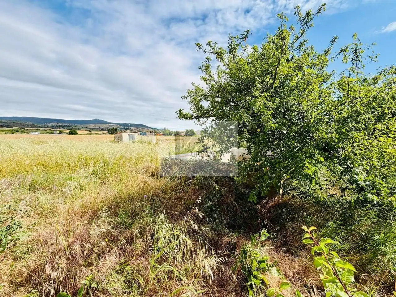 Terreno en venta en Allo
