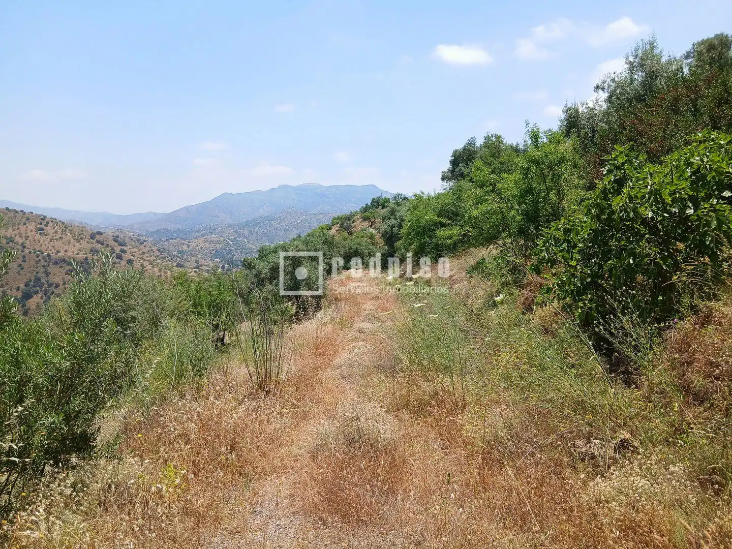 Terreno residencial en venta en Diseminado, imagen 19