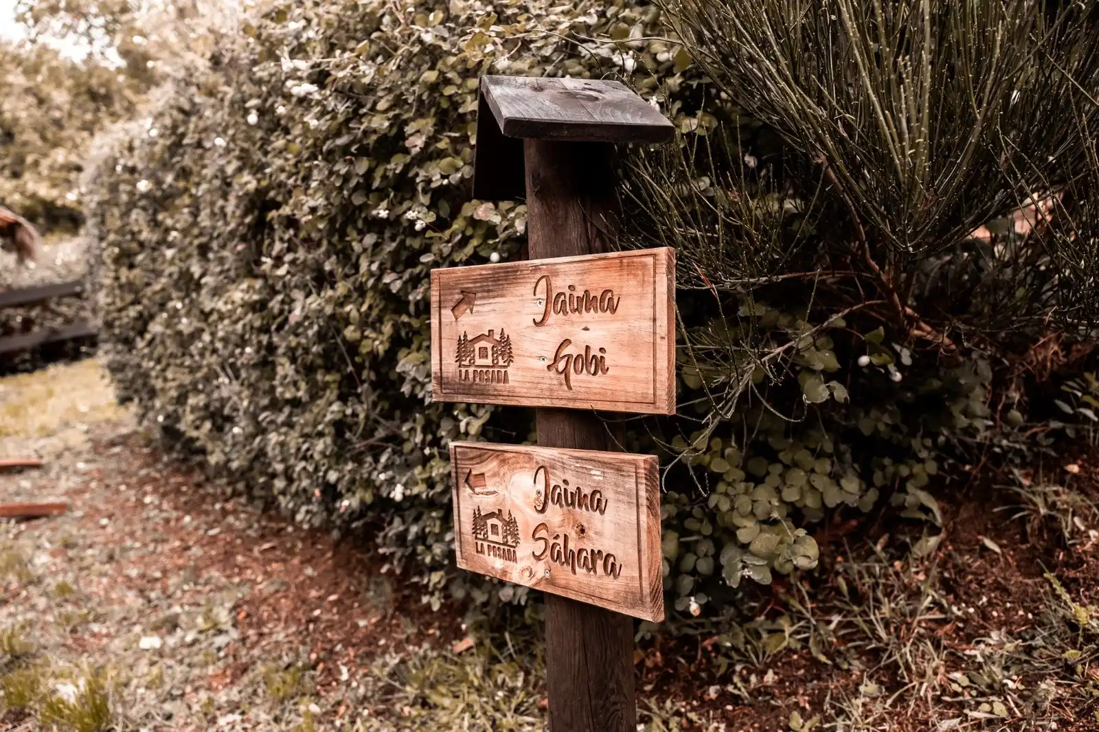 Garden of Buildings for sale in Cercedilla