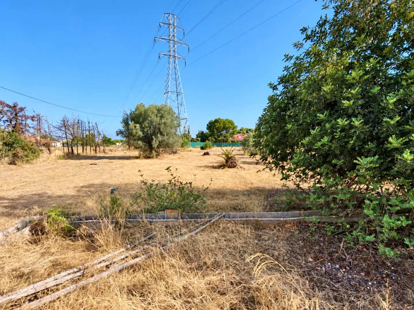 Residential land for sale in El Palmar - DS CARRIL CARRILES 0, imagen 14