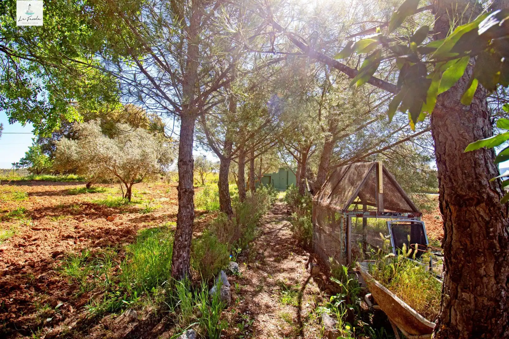Garden of Country homes for sale in Archidona  with Air Conditioner, Heating and Private garden