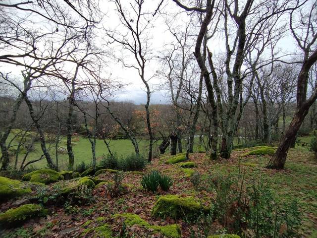 Terreno en Venta en Gargüera