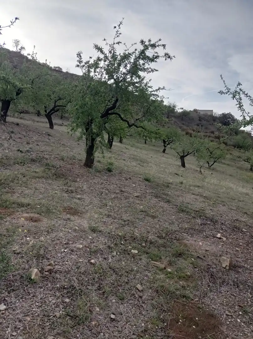 Terreni e lotti in vendita a Jete, imagen 2