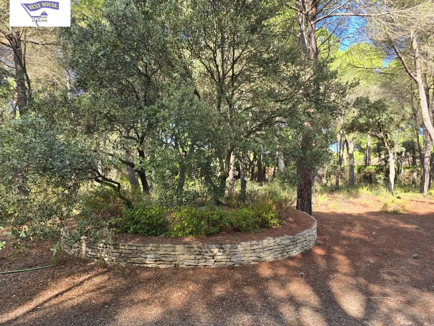 Terreno rustico in vendita a Pedanías - Extrarradio, imagen 5