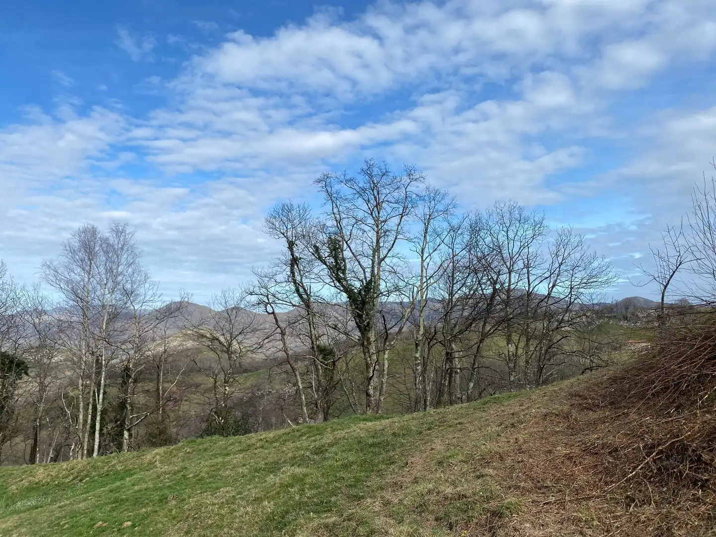 Rural land for sale in Onís, imagen 28