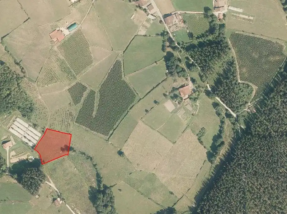 Terreno rustico in vendita a Abadiño, imagen 6