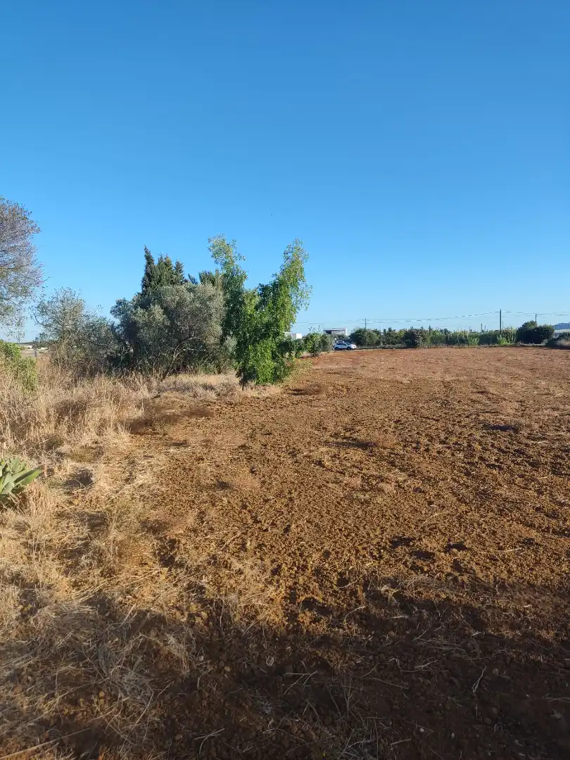 Land for sale in Conil de la Frontera