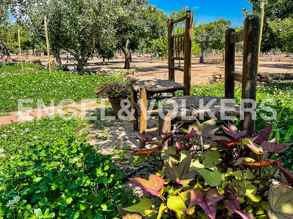 Casa o chalet en venta en Almazora / Almassora con Calefacción, Jardín privado y Terraza