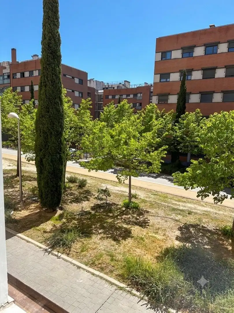 Vista exterior de Local de lloguer en Madrid amb Aire condicionat