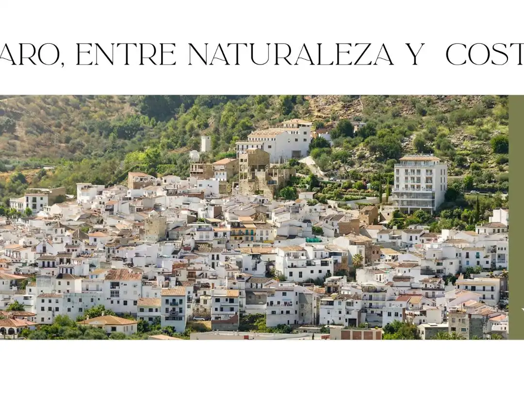 Exterior view of Commercial properties for sale in Guaro  with Terrace