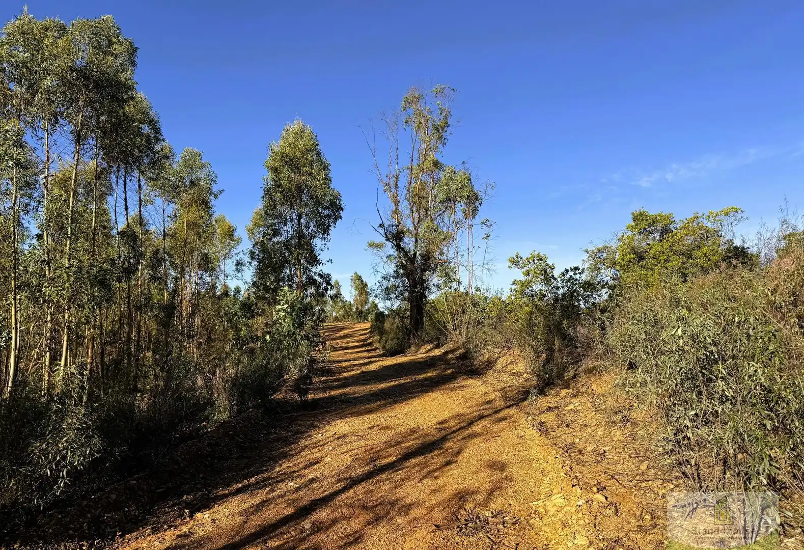 Finca rústica en venta en Berrocal