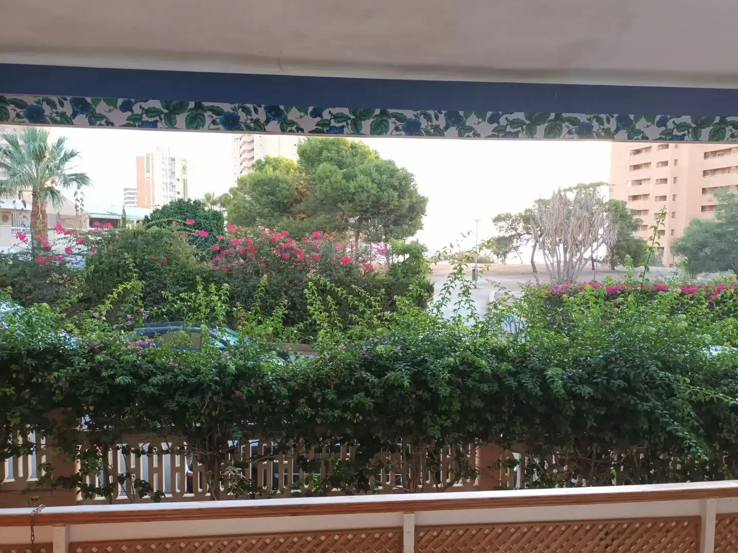 Appartement compact avec piscine à vendre à PETRER 4, imagen 8