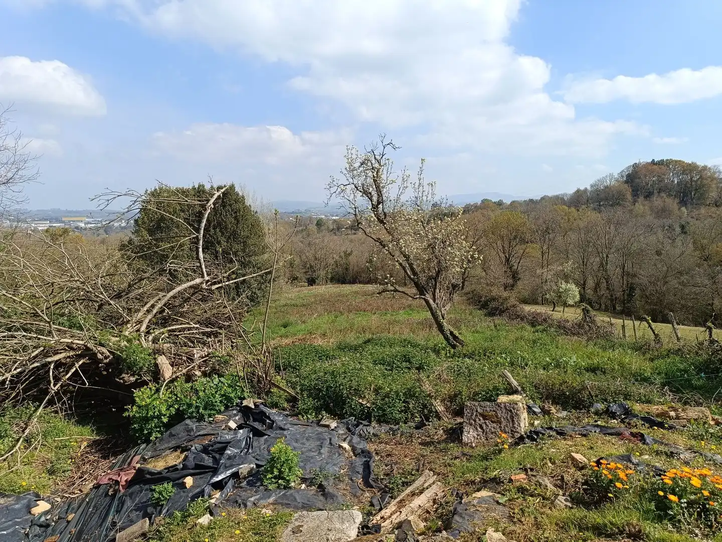 Casa o chalet en venta en Siero con Piscina
