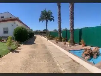 Vista exterior de Casa o chalet en venta en Carmona con Aire acondicionado, Calefacción y Jardín privado