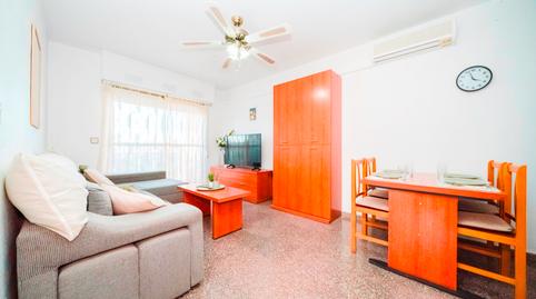 Foto 3 de Apartamento de alquiler en Lo Pagán, San Pedro del Pinatar