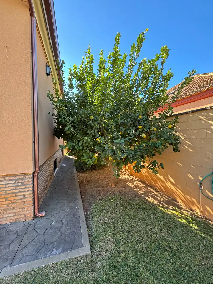Chalet con terraza en venta en Calle Albacora, imagen 44