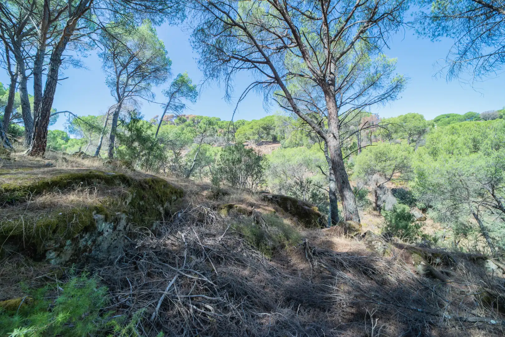Residencial en venta en San Martín de Valdeiglesias, Madrid