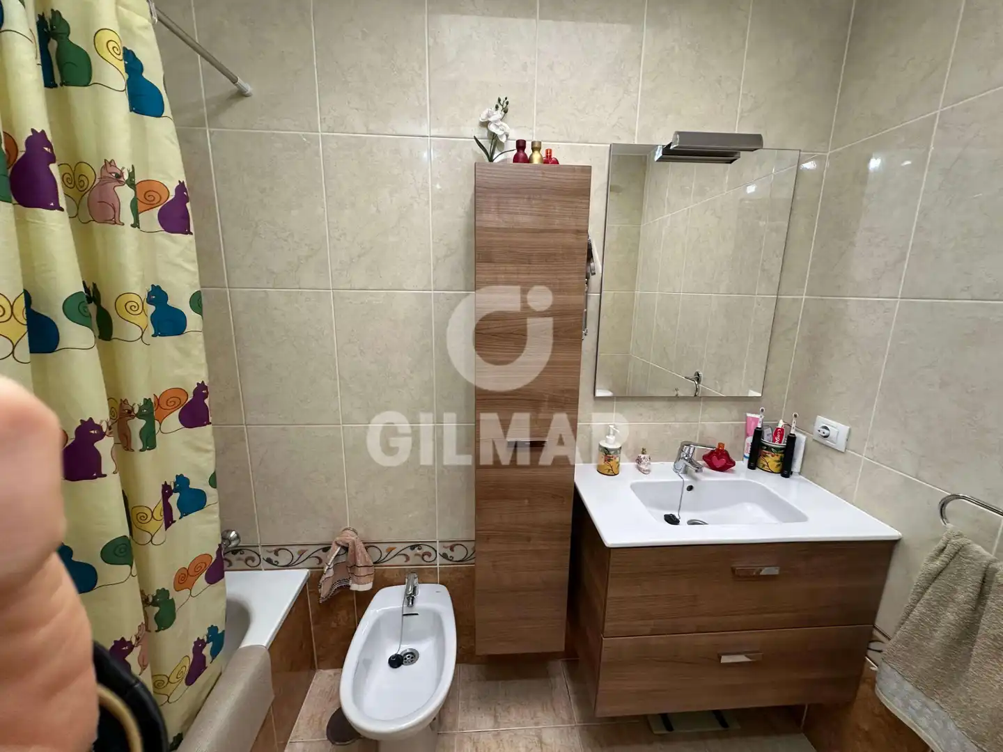 Bathroom of Attic for sale in Adeje  with Terrace, Storage room and Furnished