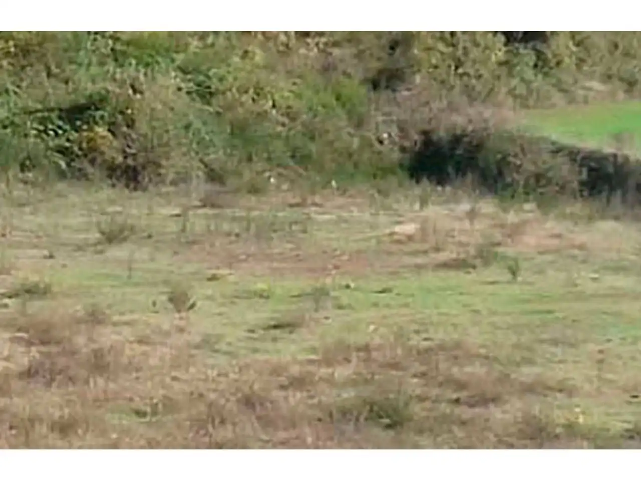 Terrain rustique à vendre à Calle PTDA LES FORQUES, imagen 2