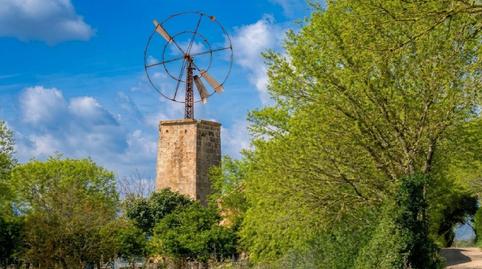 Foto 4 de Finca rústica en venta en Binissalem, Illes Balears