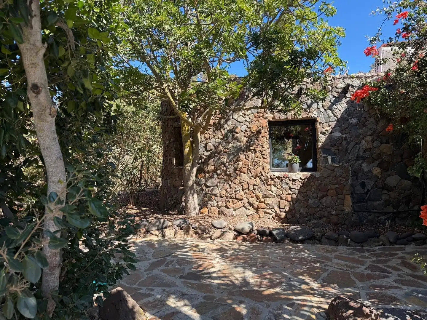 Vista exterior de Finca rústica en venta en Telde con Aire acondicionado, Calefacción y Jardín privado