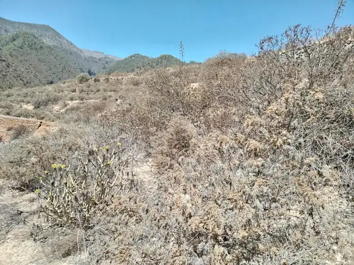 Terreny rústic en venda a Centro, imagen 6