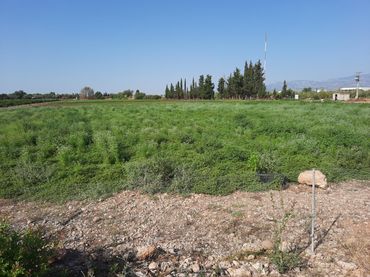 Rustikales Grundstück zum Verkauf in Santa Bàrbara