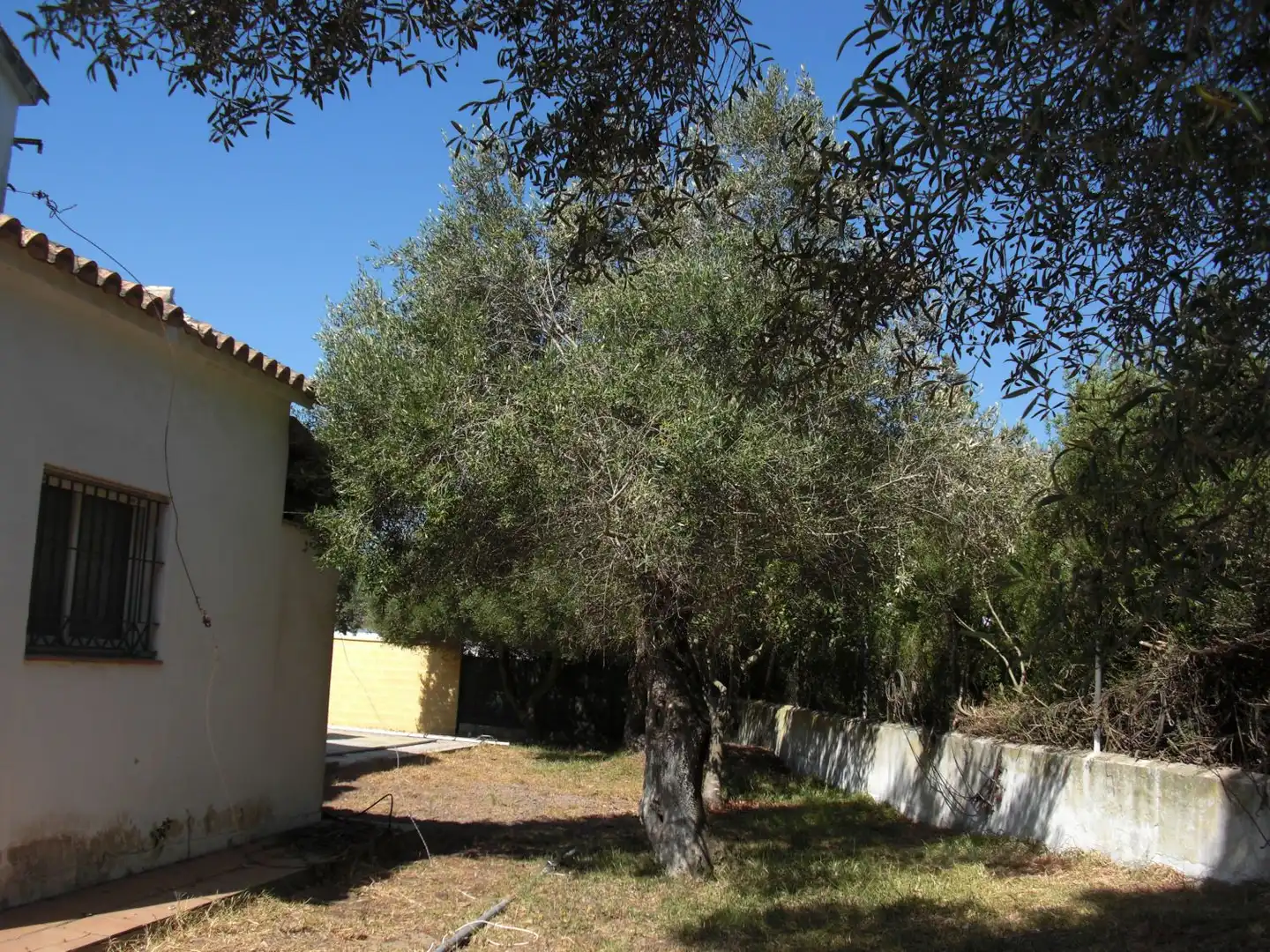 Jardí de Casa o xalet en venda en Chiclana de la Frontera amb Terrassa