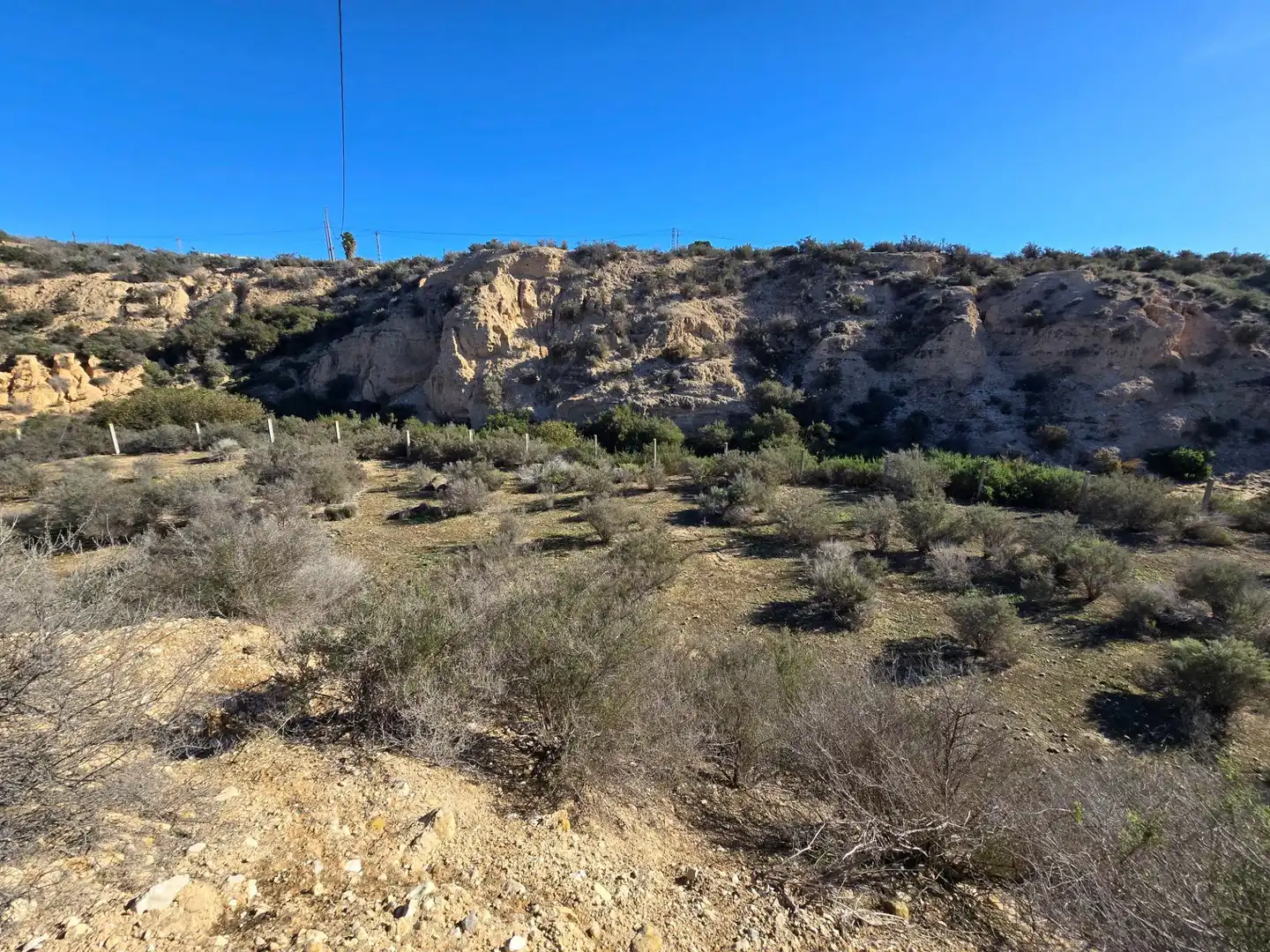 Industrial land for sale in Crevillent, imagen 11