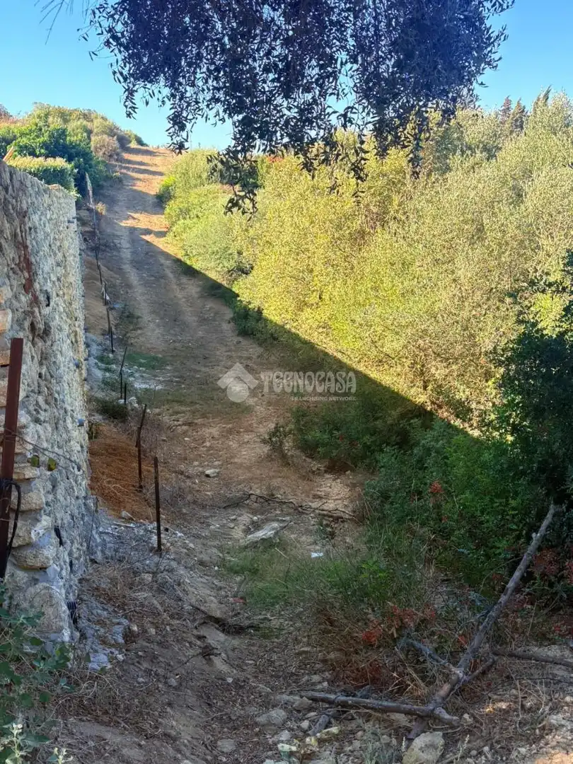 Terreno rustico in vendita a Vejer, imagen 19