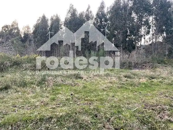 Terreny rústic en venda a A Cañiza, imagen 9