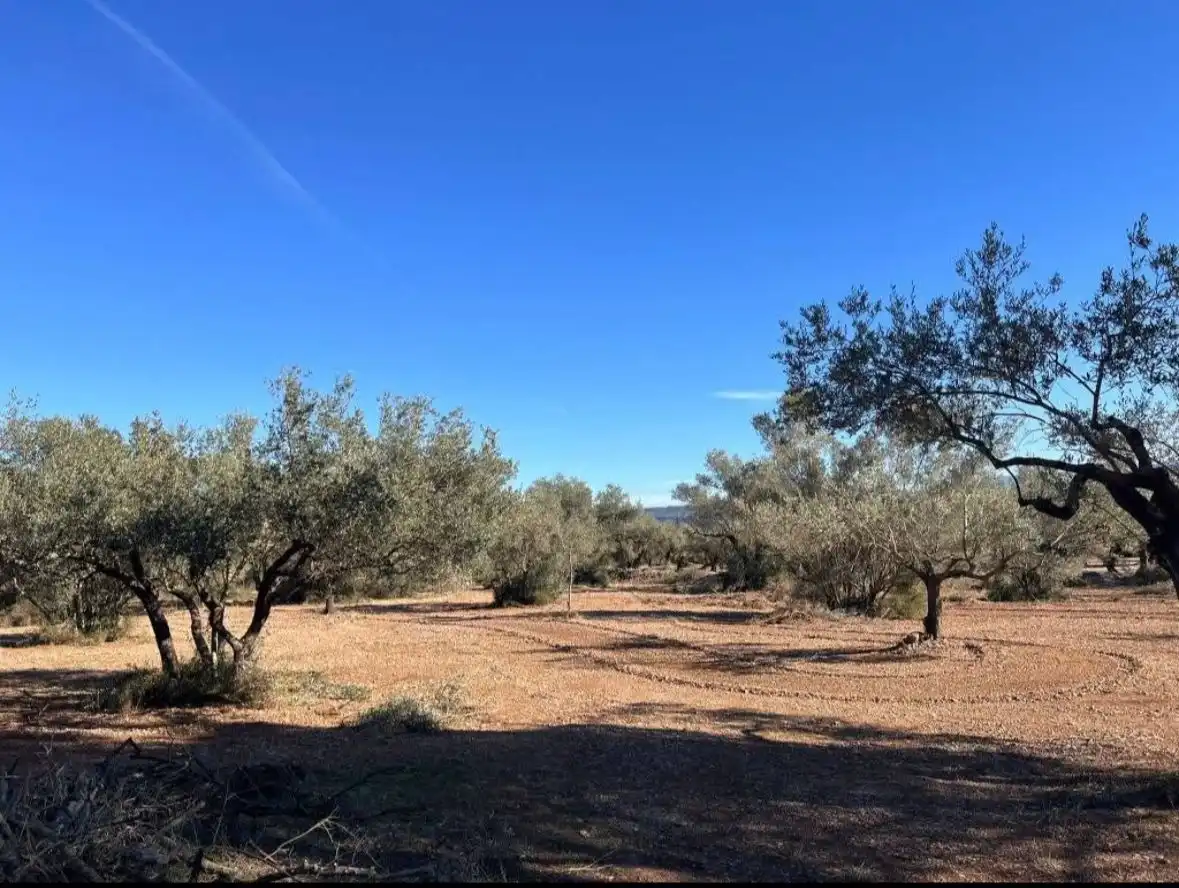 Finca rústica en venta en Ulldecona