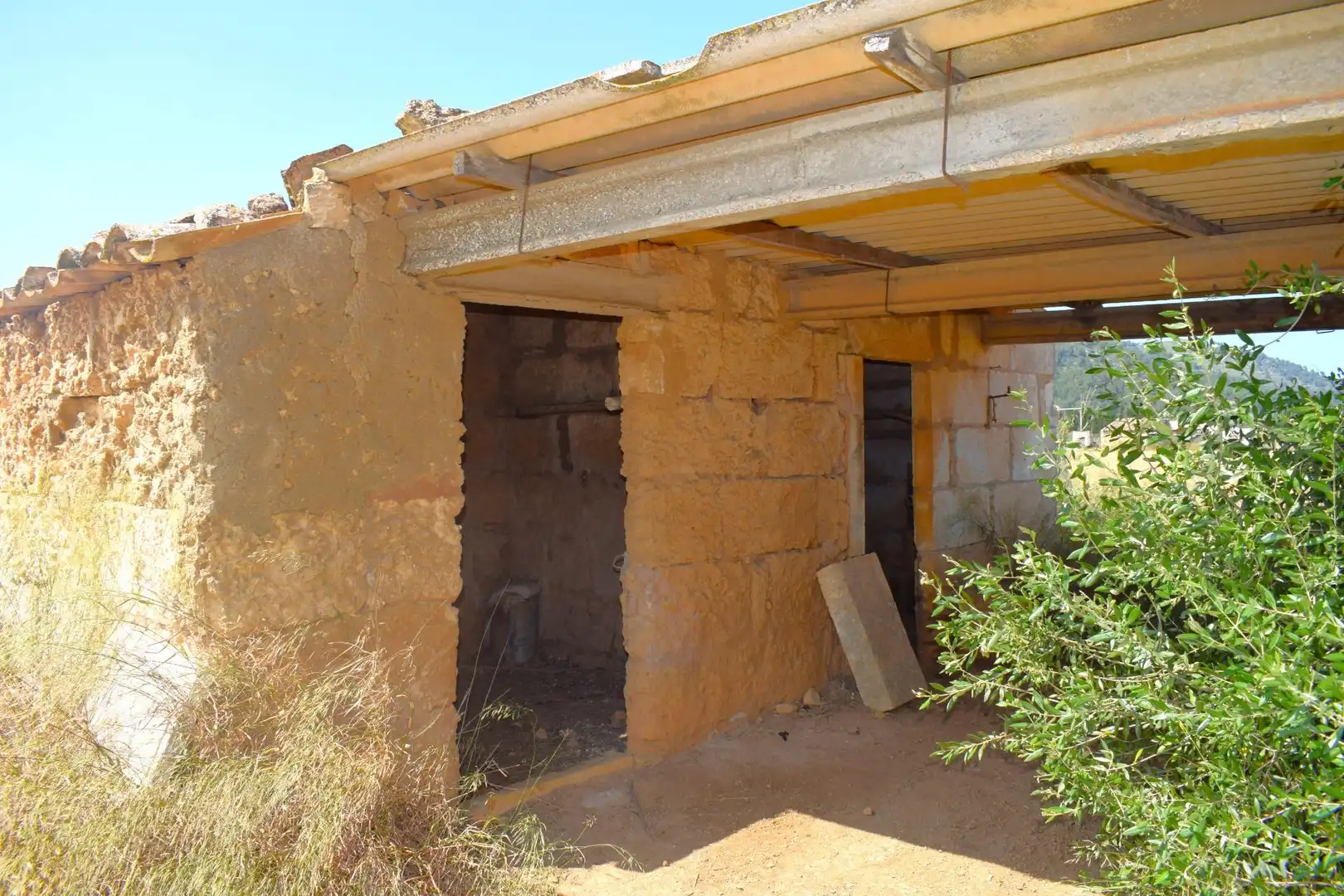 Rural land for sale in Sa Pobla, imagen 9