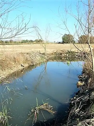 Terrain rustique à vendre à Eucaliptus- Poble Nou del Delta, imagen 3