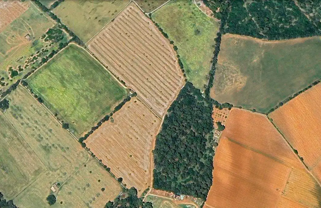 Rural land for sale in Sencelles, imagen 2