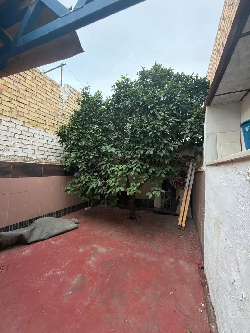 Jardí de Casa o xalet en venda en El Coronil