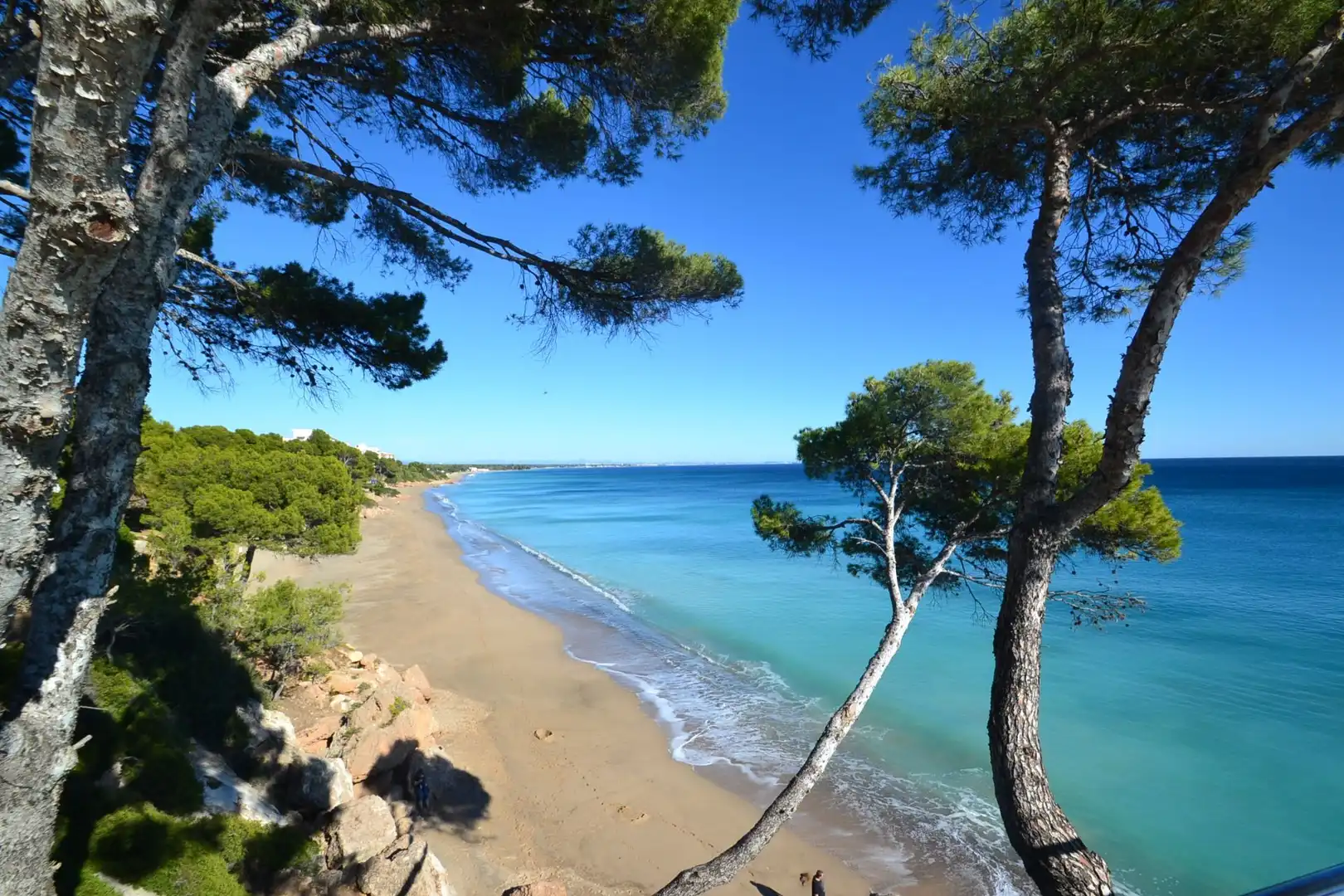 Vista exterior de Casa o xalet en venda en Mont-roig del Camp amb Aire condicionat, Calefacció i Jardí privat
