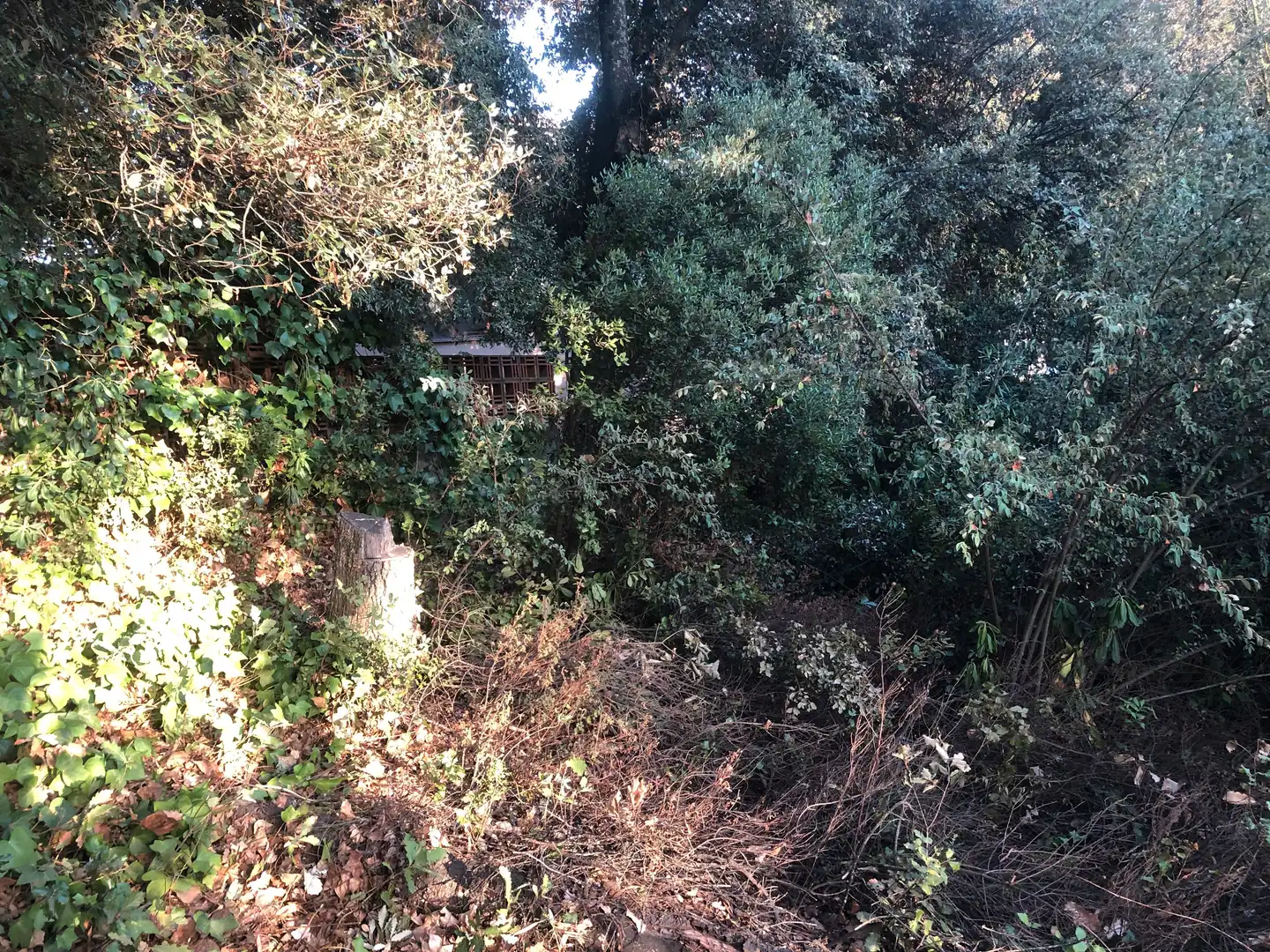 Terreno residencial en venta en Camino Mataro de 67, imagen 15