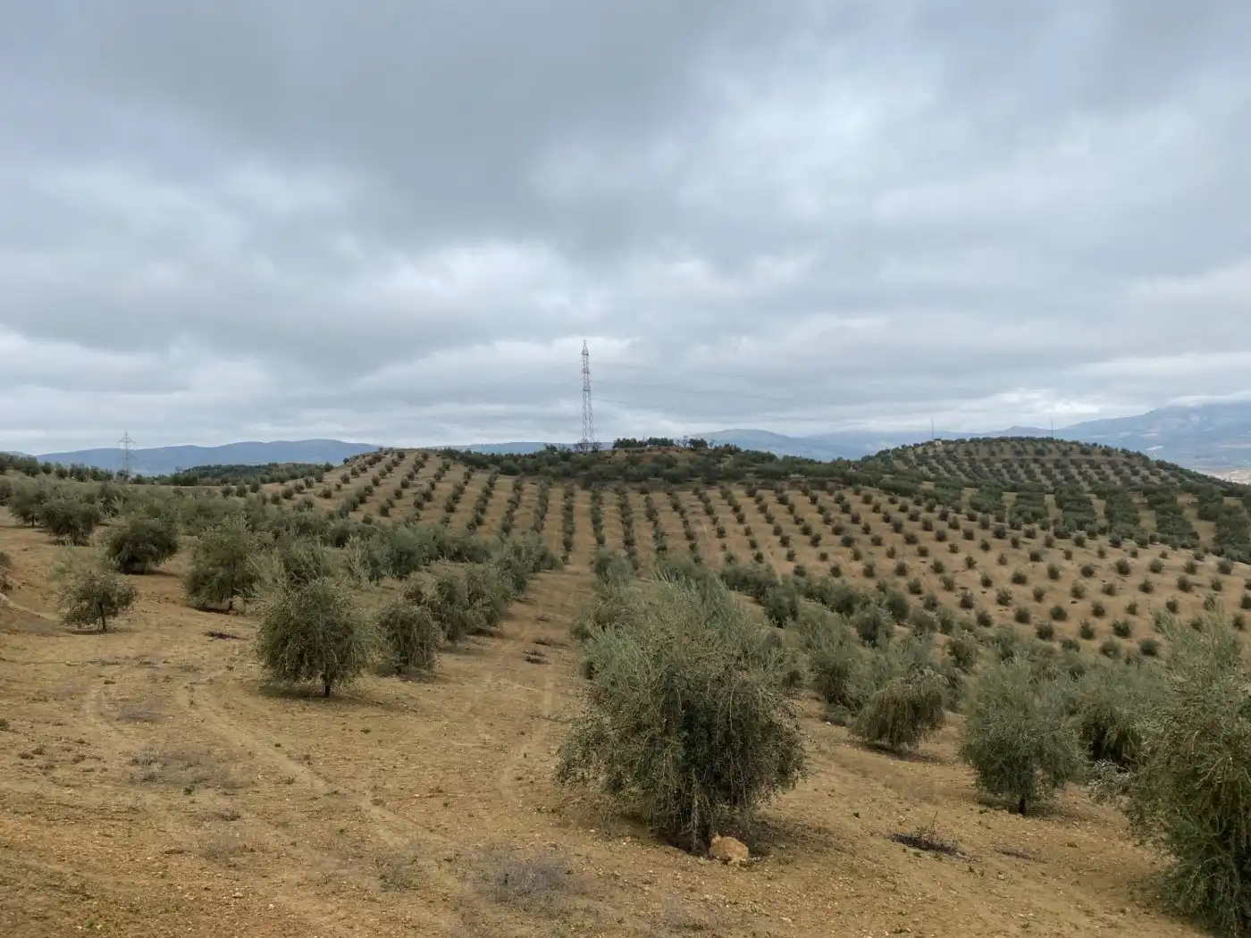 Casa rustica in vendita a Huétor Tájar, imagen 18