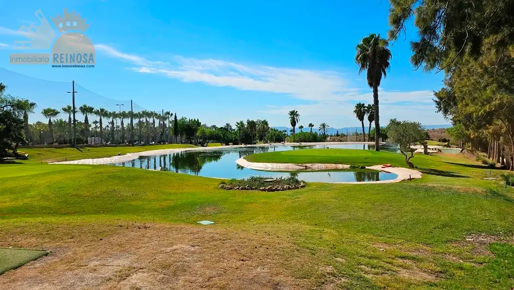 Detached homes for sale in Calle Nicolás Guillén, Altorreal - El Chorrico