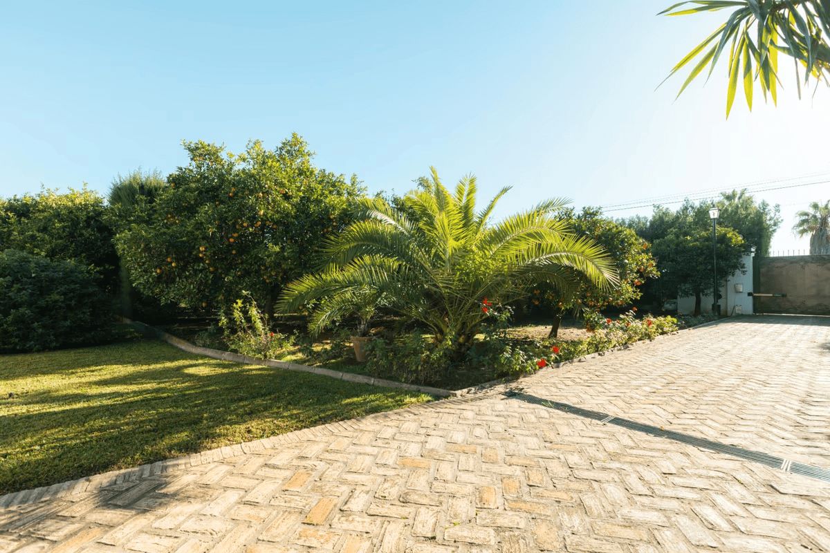 Jardí de Casa o xalet en venda en Sanlúcar la Mayor amb Aire condicionat, Jardí privat i Terrassa