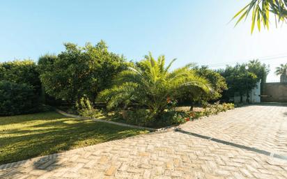 Jardí de Casa o xalet en venda en Sanlúcar la Mayor amb Aire condicionat, Jardí privat i Piscina